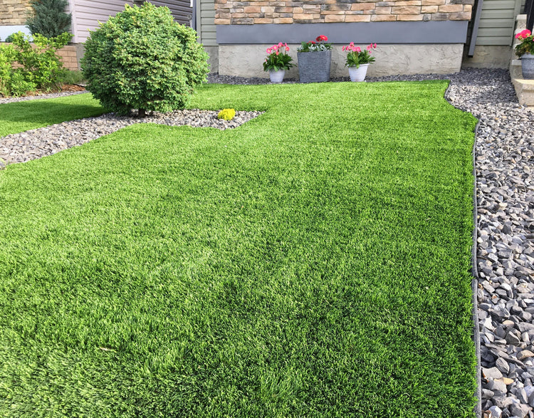 What to Do After Solbreeze Services Installs Your New Lawn