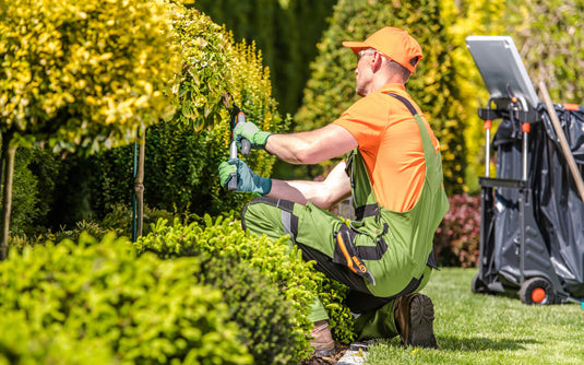 Landscape Maintenance Program