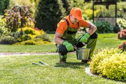 Landscape Maintenance Program