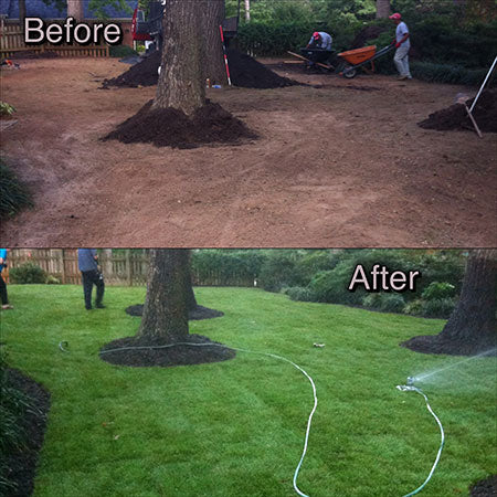 New Lawn Installation – Fresh, Lush, and Built to Last